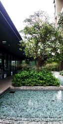 Irwell Hill Residences (D9), Apartment #469344381